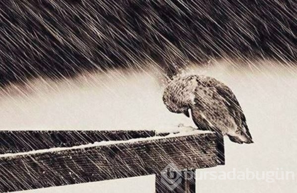 İnstagram'da ünlüler 18 Kasım 2015
