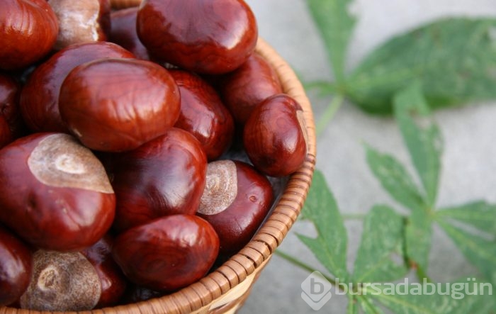 Bu besinlerle güçlü kemikler