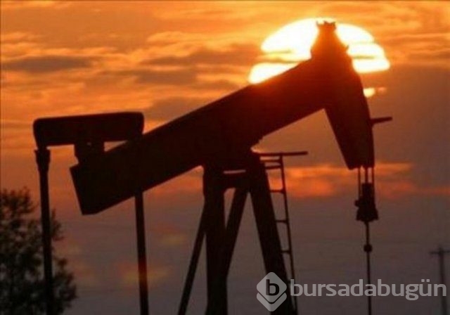 İnsan vücudunun limitleri