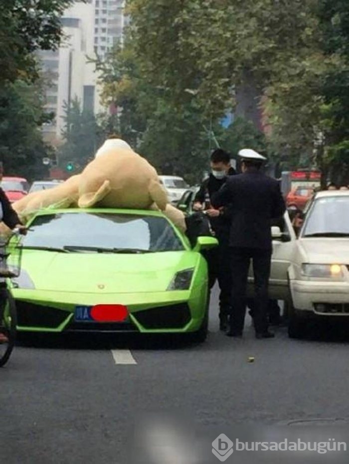 Lamborghini ile onu taşıdı başına iş aldı