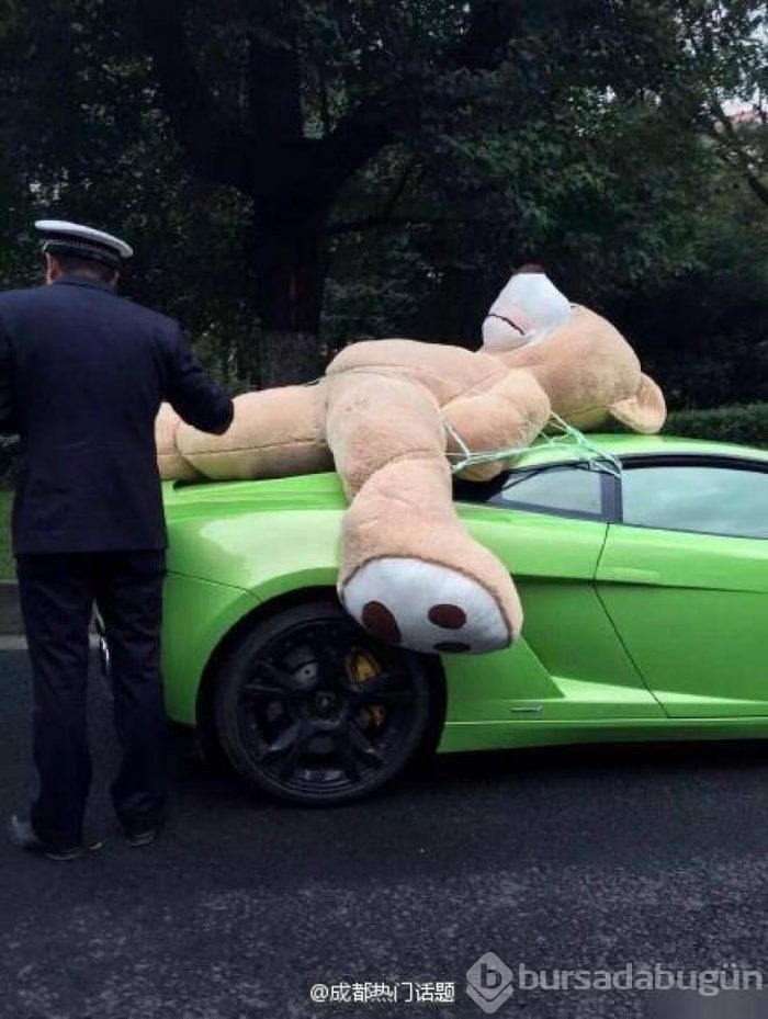 Lamborghini ile onu taşıdı başına iş aldı