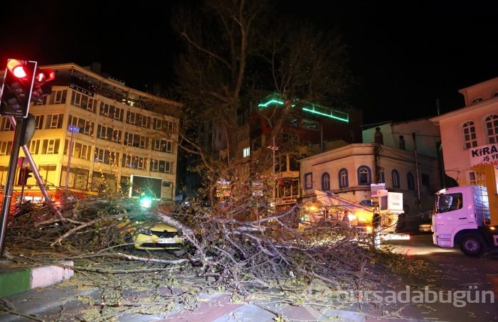 Bursa'da kuvvetli lodos
