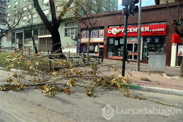 Bursa'da kuvvetli lodos
