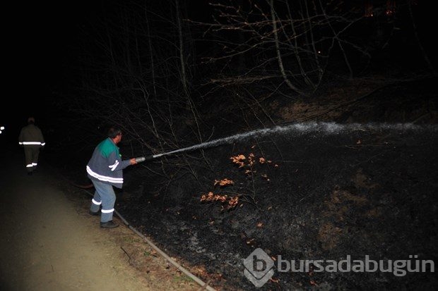 Bursa'da orman yangını