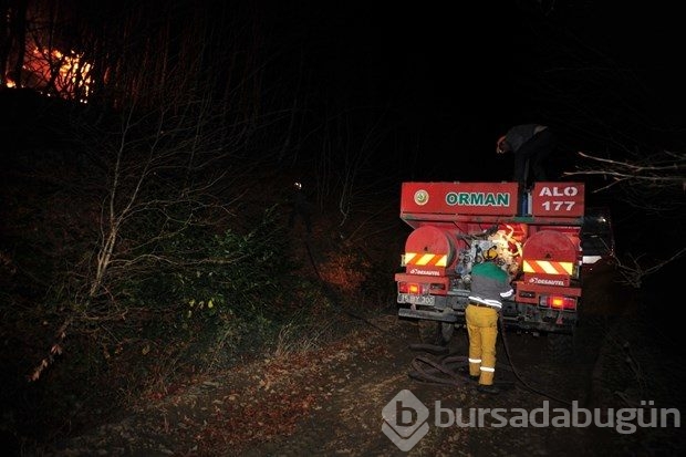 Bursa'da orman yangını