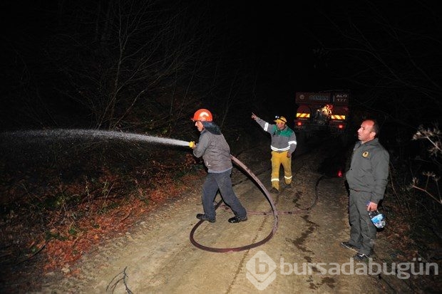 Bursa'da orman yangını