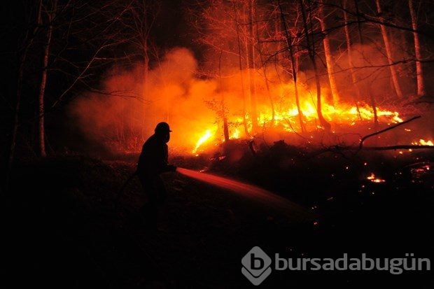 Bursa'da orman yangını