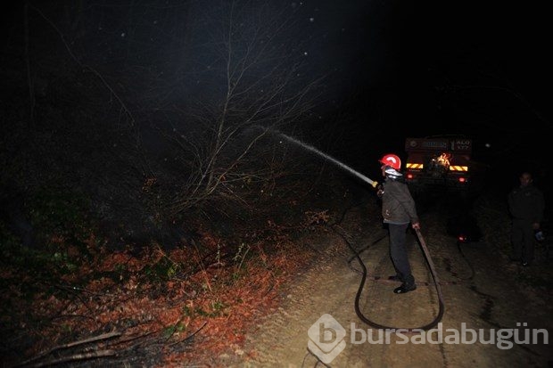 Bursa'da orman yangını