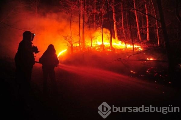 Bursa'nın ciğerleri yandı