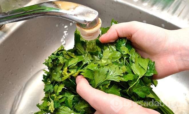 Yumurta ve maydanoz hastalıklardan koruyor!