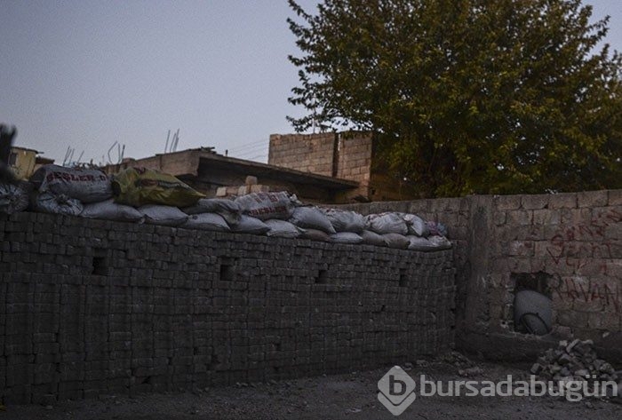 Nusaybin'de terör operasyonu