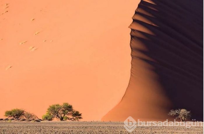 Görülmeye değer 100 eşsiz fotoğraf