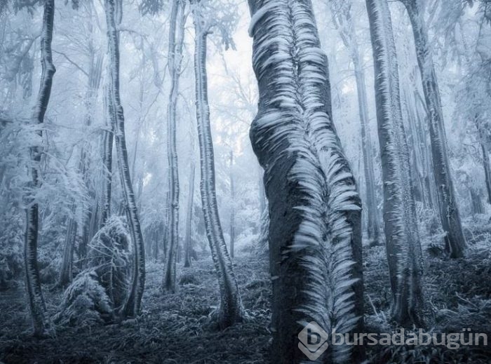 Görülmeye değer 100 eşsiz fotoğraf