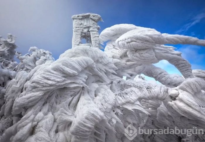 Görülmeye değer 100 eşsiz fotoğraf