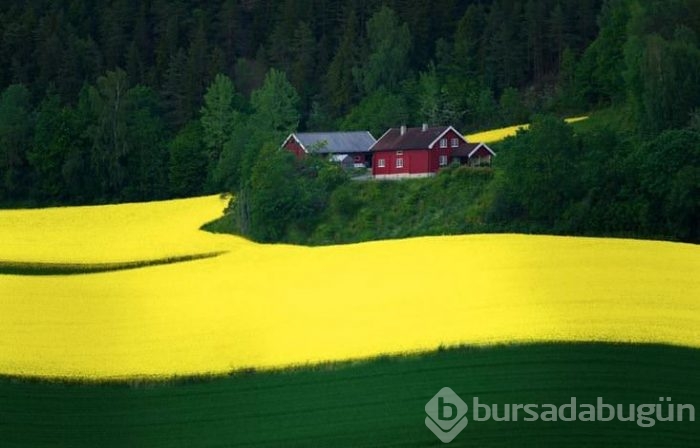 Görülmeye değer 100 eşsiz fotoğraf