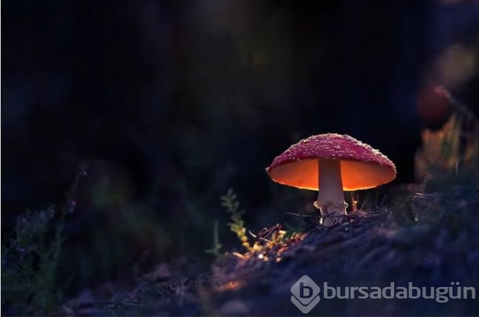 Görülmeye değer 100 eşsiz fotoğraf