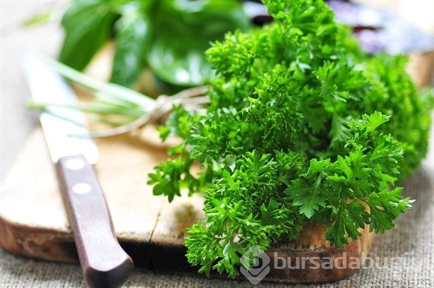 Işıl ışıl parlayan saçlar için 8 besin