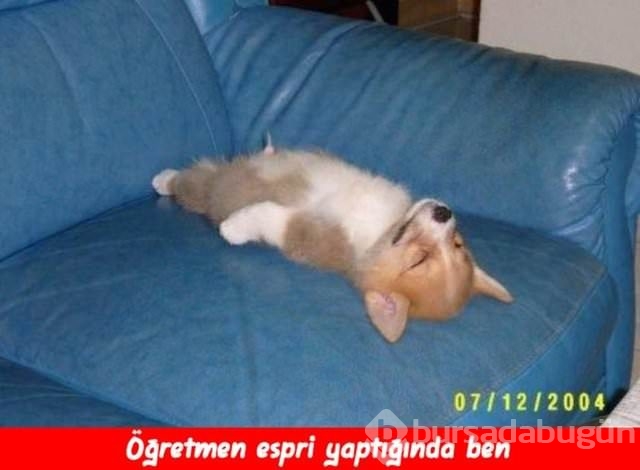 Öğretmenler günü capsleri