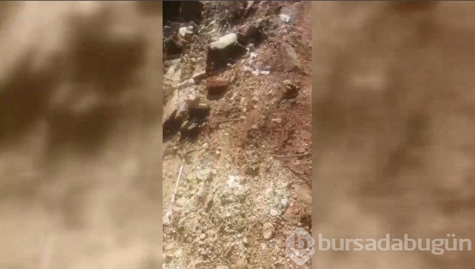 İşte o pilotun görüntüleri