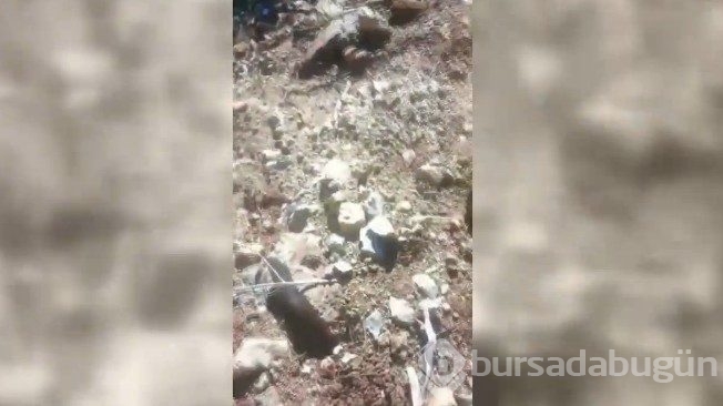 İşte o pilotun görüntüleri