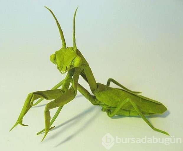 "Origami nedir?" sorusuna cevap niteliğinde 27 sanat eseri