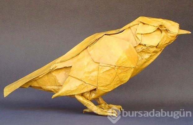 "Origami nedir?" sorusuna cevap niteliğinde 27 sanat eseri