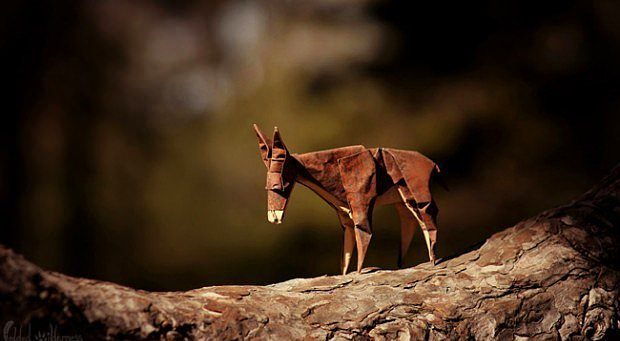 "Origami nedir?" sorusuna cevap niteliğinde 27 sanat eseri