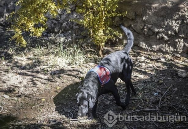 Teröristlerden temizleyip ezan okudular