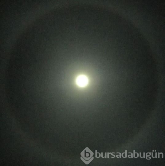İnstagram'da ünlüler - 25 Kasım 2015