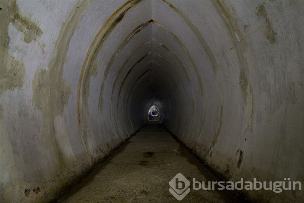 Çılgın milyoner bunu yaptı