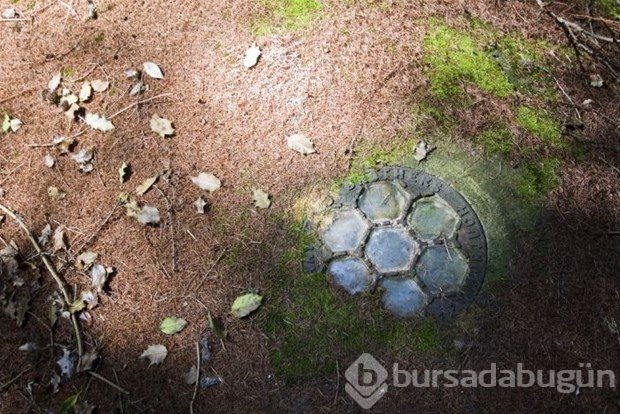 Çılgın milyoner bunu yaptı