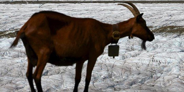 İklim değişikliğinin sonuçları şimdiden hissediliyor