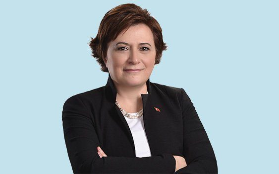 İşte krizlere kapalı kabinenin ayrıntıları