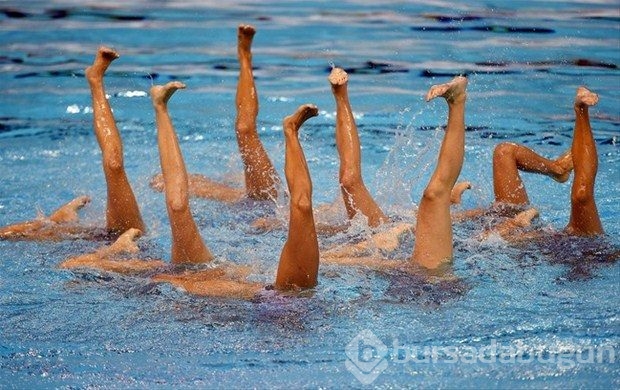 İlginç spor fotoğrafları (2015)
