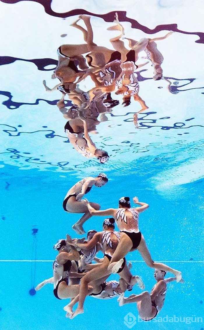 İlginç spor fotoğrafları (2015)