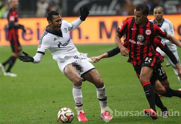 İlginç spor fotoğrafları (2015)
