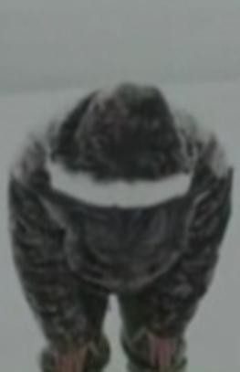 90'ların ünlü isimleri şimdi ne yapıyor?