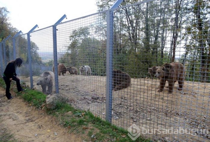 "Kış uykusu"nu bekliyorlar