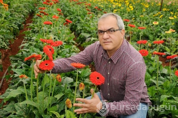 Rusya'ya giden çiçek TIR'ları geri dönüyor 