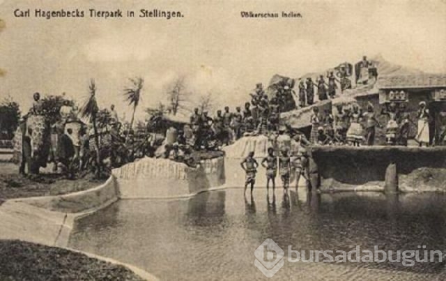 'Hayvanat bahçesindeki' insanlar