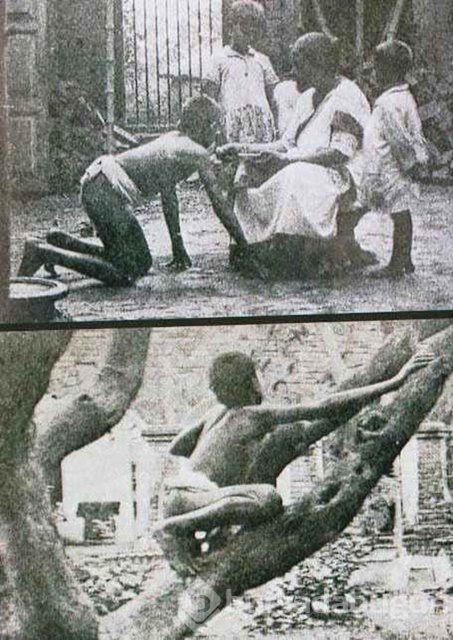 İnanılmaz yaşam hikayeleri 