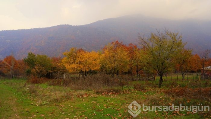 Bursa Uludağ sonbaharda da göz kamaştırıyor	