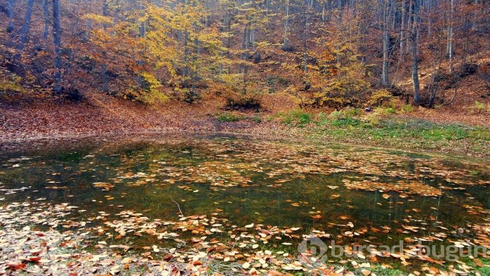 Bursa Uludağ sonbaharda da göz kamaştırıyor	