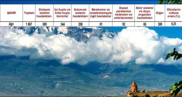 Ölüm oranlarının en yüksek olduğu iller