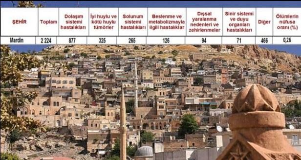 Ölüm oranlarının en yüksek olduğu iller