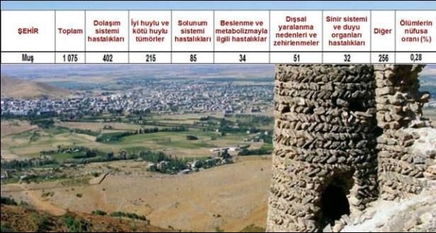Ölüm oranlarının en yüksek olduğu iller