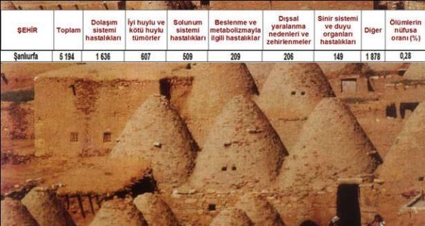 Ölüm oranlarının en yüksek olduğu iller