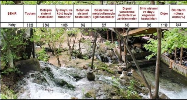 Ölüm oranlarının en yüksek olduğu iller