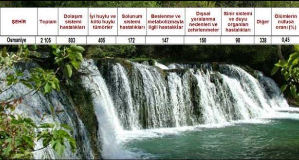 Ölüm oranlarının en yüksek olduğu iller