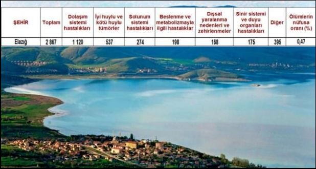Ölüm oranlarının en yüksek olduğu iller